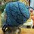 Непальская Шерстяная вязаная шапка с ушками 100%шерсть яка в ассортименте, подростковый и детские размеры
